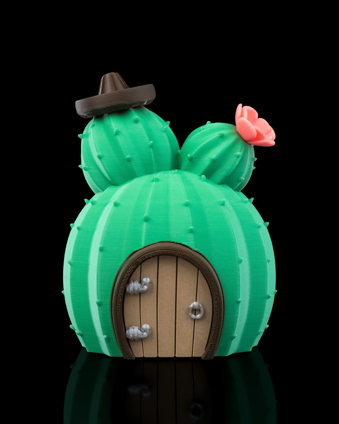 Fairy Cactus House
