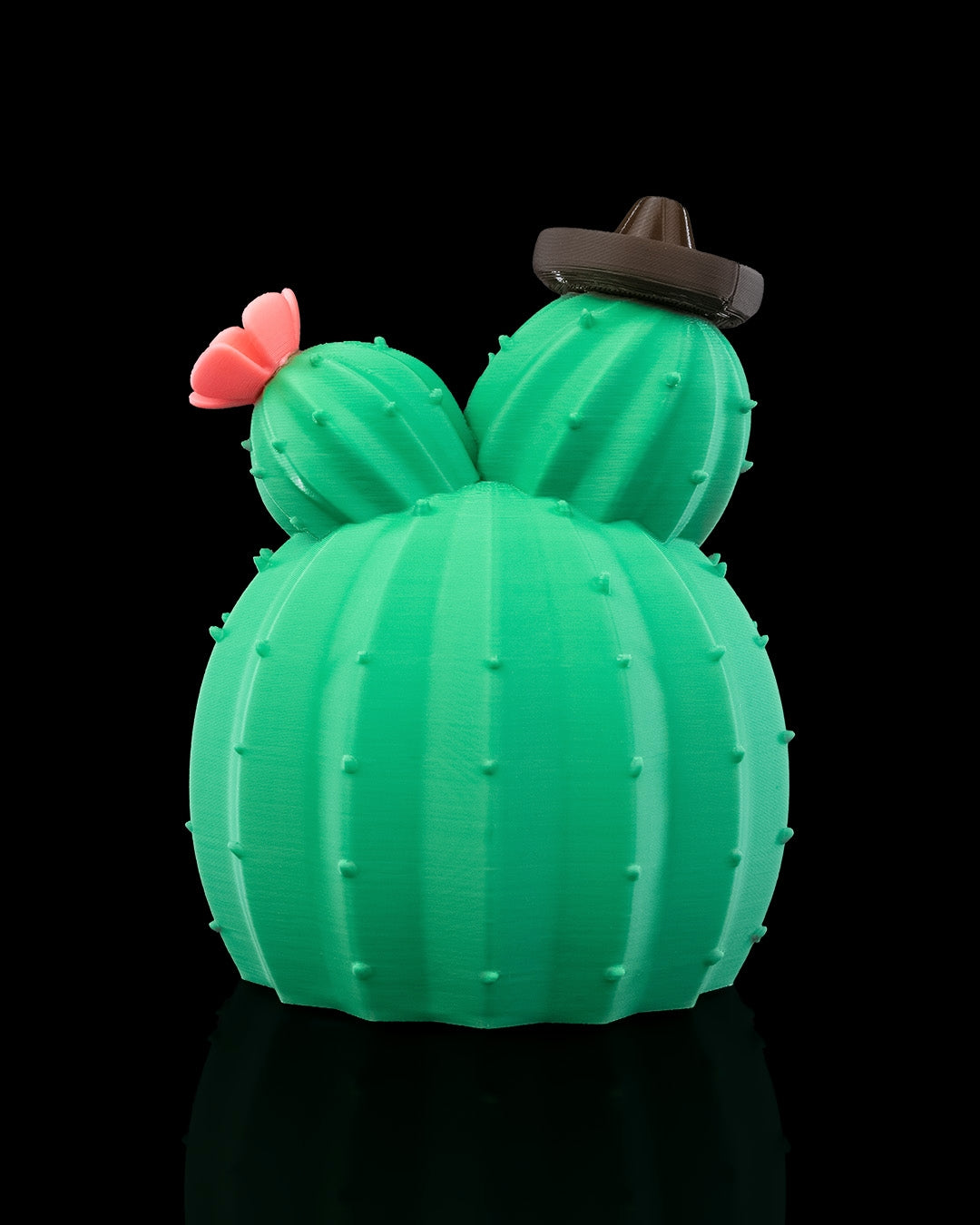 Fairy Cactus House