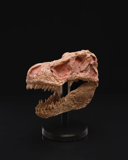 Dinosaur skull