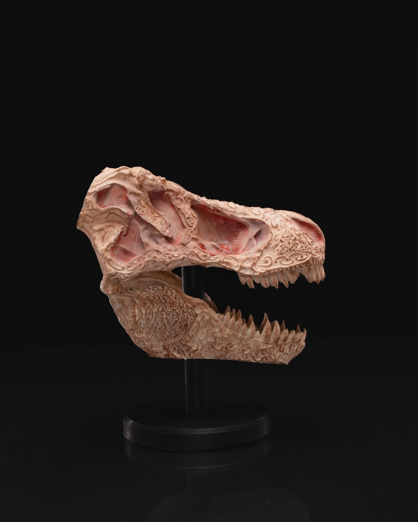 Dinosaur skull