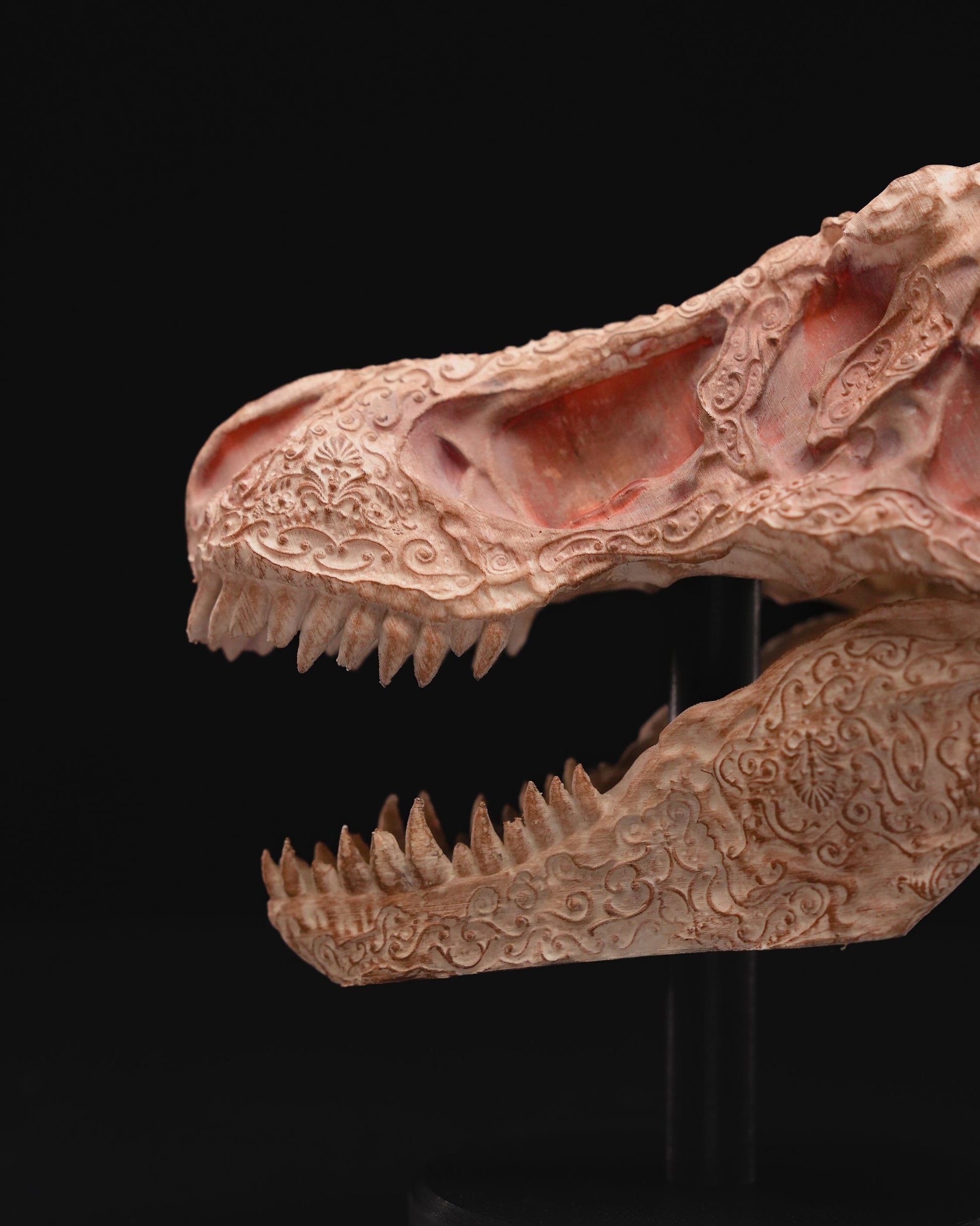 Dinosaur skull