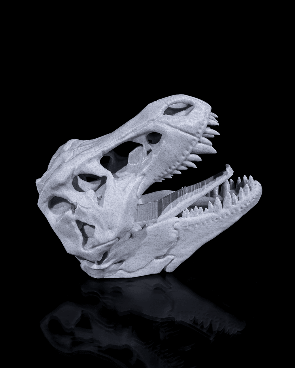 Dinosaur hanger