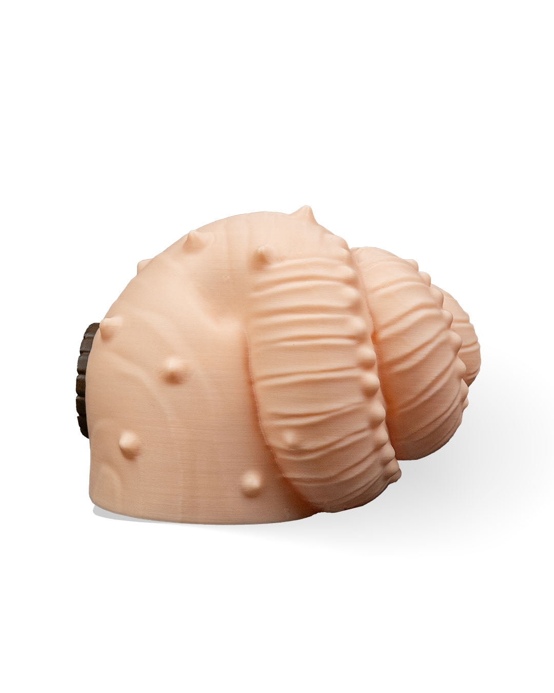 Fairy snail house