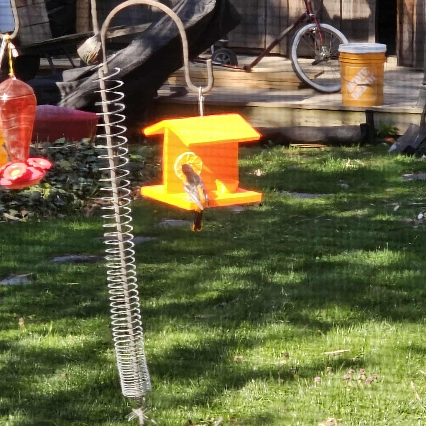 Baltimore oriole bird feeder