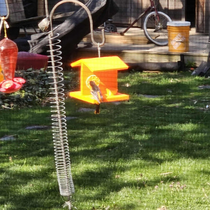 Baltimore oriole bird feeder