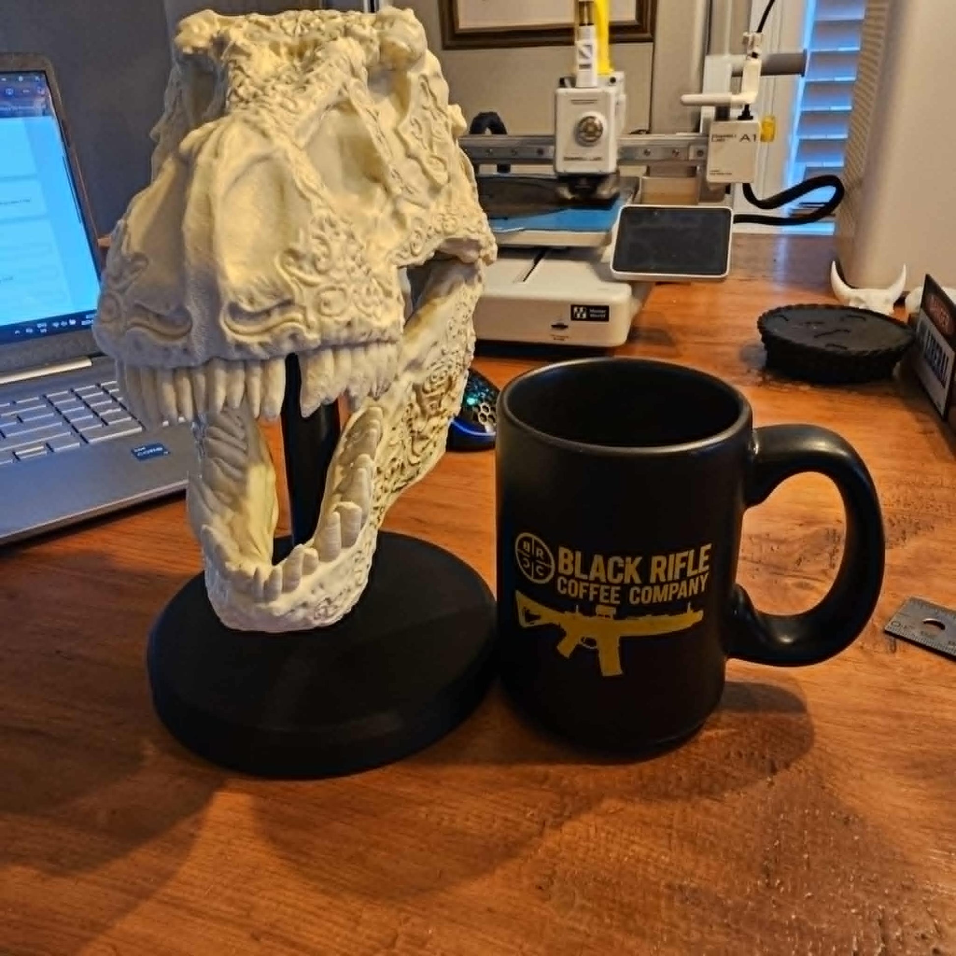 Dinosaur skull