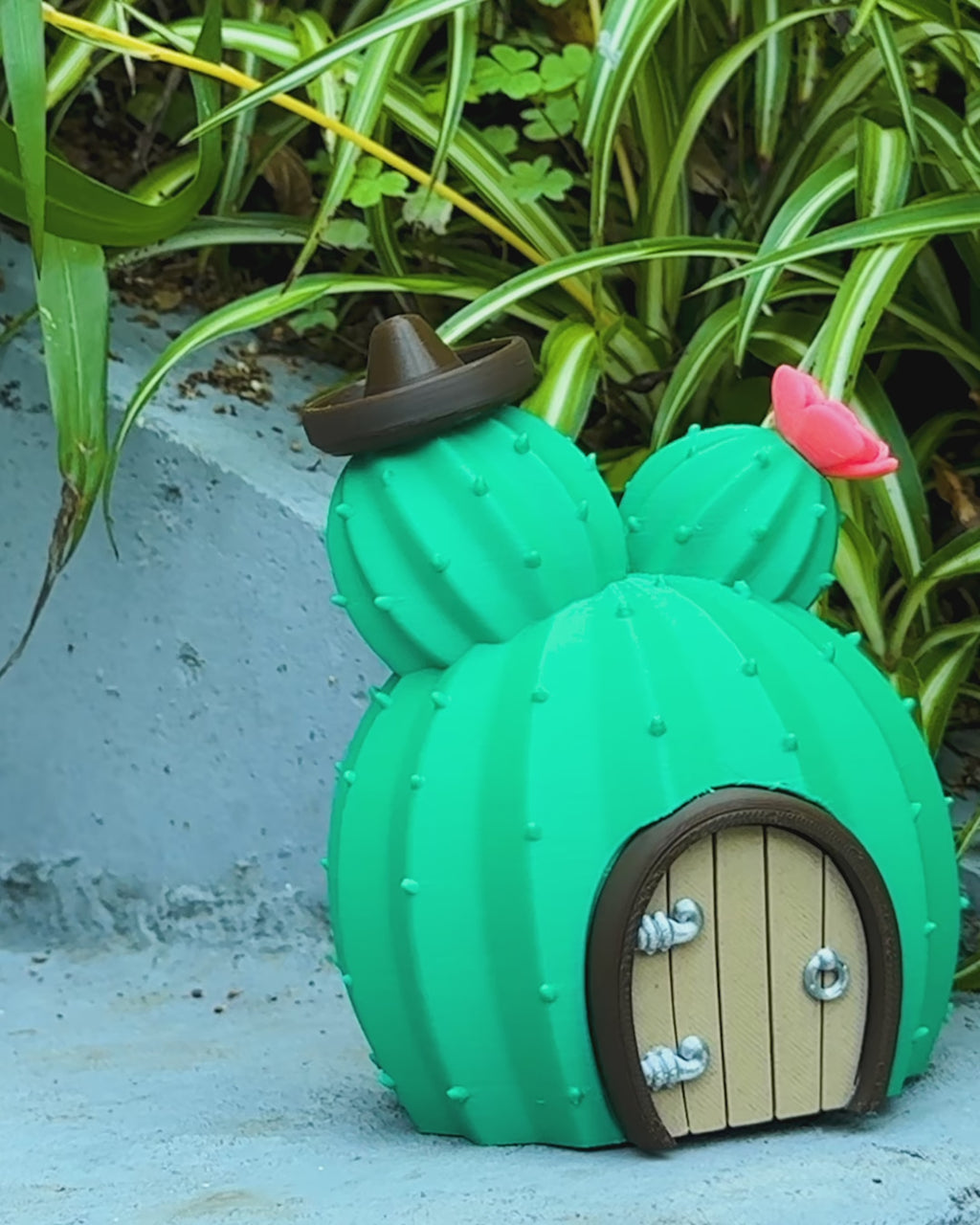 Fairy Cactus House